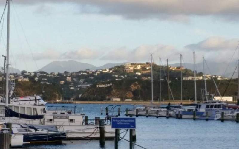 Evans Bay Marina Carpark Freedom/Basic Camp New Zealand